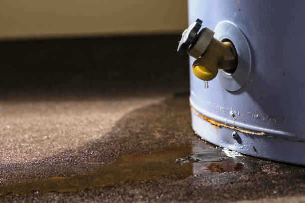 Best 24/7 water damage repair  in Chieand, FL