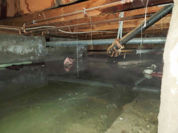 Best Flooded house restoration  in Chieand, FL