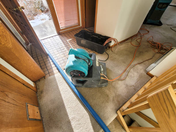 Best Flood restoration services  in Chieand, FL