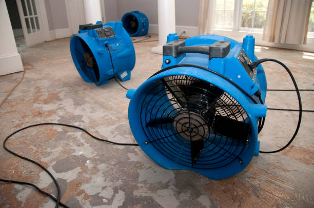 Best Water damage restoration near me  in Chieand, FL
