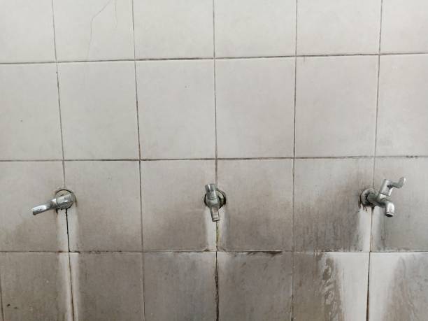 Best Flood restoration services  in Chieand, FL