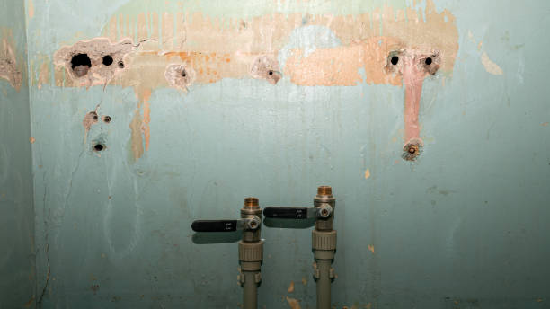 Best Water damage restoration near me  in Chieand, FL