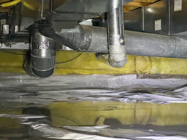 Best Local water damage restoration  in Chieand, FL