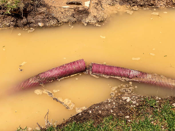 Best Water damage cleanup near me  in Chieand, FL