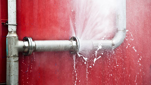 Best Water damage restoration mold remediation  in Chieand, FL
